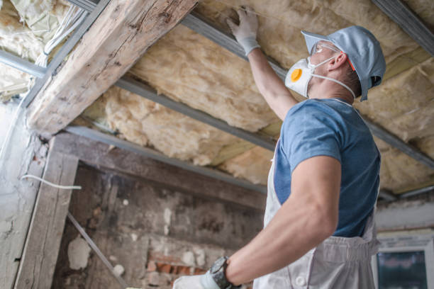 Types of Insulation We Offer in Zillah, WA